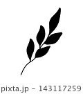 Simple vector illustration of a botanical branch with leaves. Hand-drawn black botanical silhouette. Doodle style graphic drawing for greeting cards, Thanksgiving invitations and weddings. 143117259