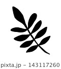 Minimalist vector illustration of a branch with leaves. Hand-drawn, elegant black botanical silhouette. Simple doodle style clip art for cards and Thanksgiving invitations, weddings. 143117260