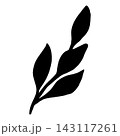 Silhouette of a branch with leaves. Vector illustration of vegetation. Simple black outline graphics hand-drawn in doodle style. Line drawing of forest nature. Thanksgiving. Clipart for postcards. 143117261