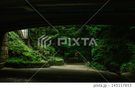 Distant Walker on a Dark Path beneath a Concrete Bridge Distant Walker on a Dark Path beneath a Concrete Bridge 143117853
