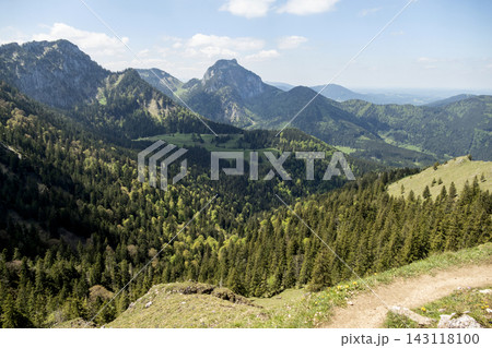 Rampoldplatte mountain, Wendelstein area in Bavaria, Germany 143118100