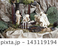 Nativity Scene 143119194