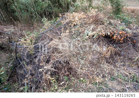 竹林の前に積み上げられた剪定枝と草の山 竹林の前に積み上げられた剪定枝と草の山 143119265