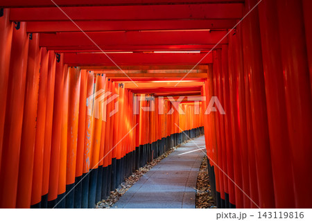 Iconic red Torii gate archway trail of Fushimi Inari shrine, Kyoto 143119816