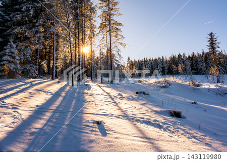 Snow covered forest road in Sumava National Park, Czech Republic, surrounded by snow-covered trees with sunlight shining through the branches during winter. Snow covered forest road in Sumava National Park, Czech Republic, surrounded by snow-covered trees with sunlight shining through the branches during winter. 143119980