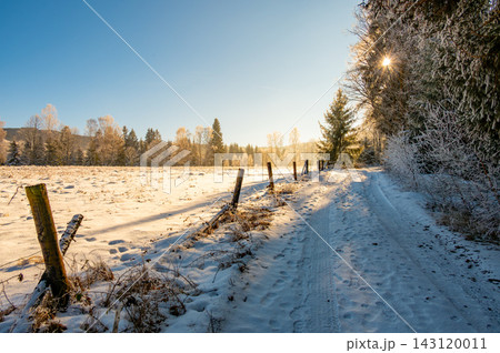 Magical winter forest road in Sumava National Park, Czech Republic, with snowy trees, an old wooden fence and a mystical pasture illuminated by golden sunrise or sunset rays. 143120011