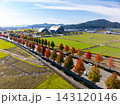 紅葉に彩られたハーモニーホールふくいと福井の秋景色をドローン空撮 143120146