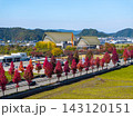 紅葉に彩られたハーモニーホールふくいと福井の秋景色をドローン空撮 143120151
