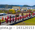 紅葉に彩られたハーモニーホールふくいと福井の秋景色をドローン空撮 143120153