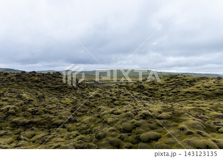 Moss-covered Eldhraun lava field with distant road under cloudy Icelandic sky Moss-covered Eldhraun lava field with distant road under cloudy Icelandic sky 143123135