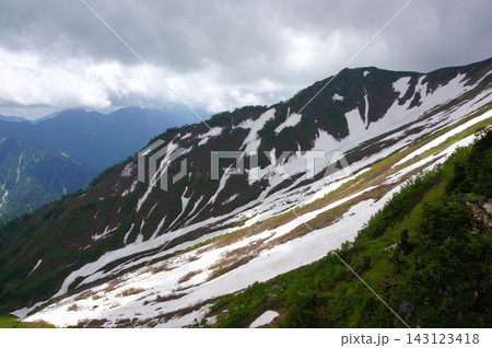 残雪と新緑が広がる美しい山の斜面 143123418