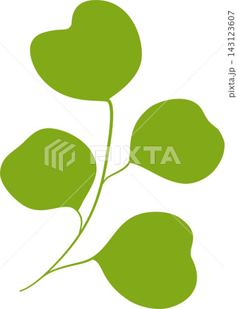 Fresh green leaves branch botanical foliage spring nature plant decorative sticker print visual graphic clipart artwork design icon element illustration Fresh green leaves branch botanical foliage spring nature plant decorative sticker print visual graphic clipart artwork design icon element illustration 143123607