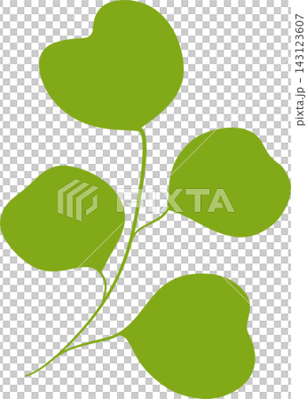 Fresh green leaves branch botanical foliage spring nature plant decorative sticker print visual graphic clipart artwork design icon element illustration Fresh green leaves branch botanical foliage spring nature plant decorative sticker print visual graphic clipart artwork design icon element illustration 143123607