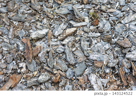 Natural Wood Bark Mulch Texture Background 143124522