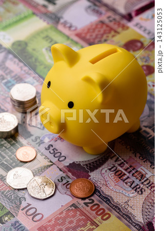 A piggy bank as a concept for storing, accumulating, and saving financial resources. A piggy bank 143125053