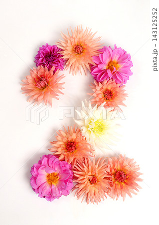 Number 2 created from real, fresh dahlia flowers. Floral typography concept, floral font with colorful, vibrant flowers,A unique collection of letters and numbers for design. Number 2 created from real, fresh dahlia flowers. Floral typography concept, floral font with colorful, vibrant flowers,A unique collection of letters and numbers for design. 143125252