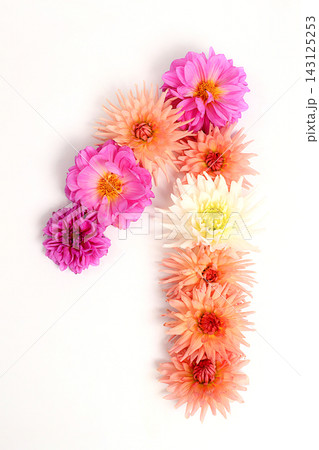 Number 1 created from real, fresh dahlia flowers. Floral typography concept, floral font with colorful, vibrant flowers,A unique collection of letters and numbers for design 143125253