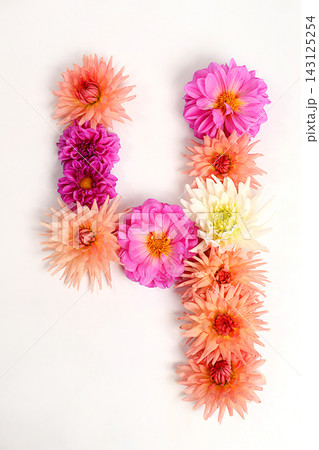 Number 4 created from real, fresh dahlia flowers. Floral typography concept, floral font with colorful, vibrant flowers,A unique collection of letters and numbers for design. Number 4 created from real, fresh dahlia flowers. Floral typography concept, floral font with colorful, vibrant flowers,A unique collection of letters and numbers for design. 143125254