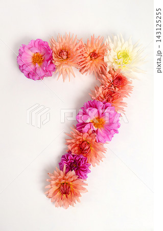 Number 7 created from real, fresh dahlia flowers. Floral typography concept, floral font with colorful, vibrant flowers,A unique collection of letters and numbers for design. 143125255
