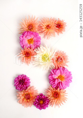 Number 5 created from real, fresh dahlia flowers. Floral typography concept, floral font with colorful, vibrant flowers,A unique collection of letters and numbers for design. 143125259
