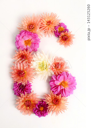 Number 6 created from real, fresh dahlia flowers. Floral typography concept, floral font with colorful, vibrant flowers,A unique collection of letters and numbers for design Number 6 created from real, fresh dahlia flowers. Floral typography concept, floral font with colorful, vibrant flowers,A unique collection of letters and numbers for design 143125260