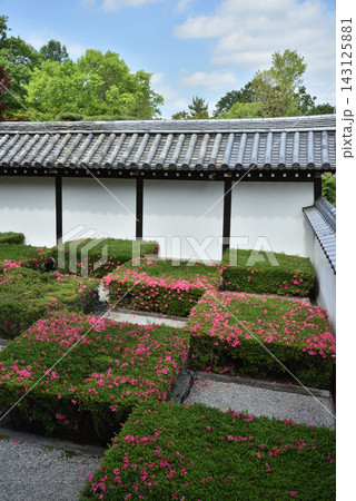 東福寺本坊庭園 西庭 井田の庭(京都市東山区) 東福寺本坊庭園 西庭 井田の庭(京都市東山区) 143125881