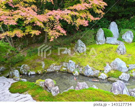 苔と石組みが美しい漢陽寺の日本庭園（山口県周南市） 143127734
