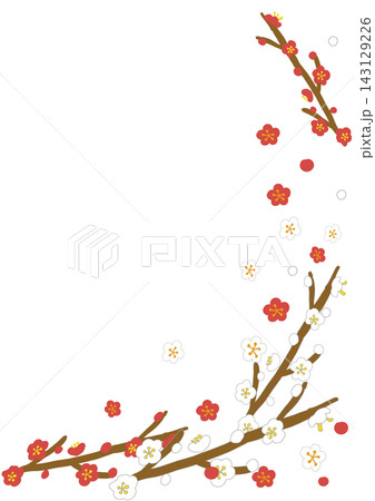 梅の花のおしゃれな和風イラスト。背景なし 梅の花のおしゃれな和風イラスト。背景なし 143129226