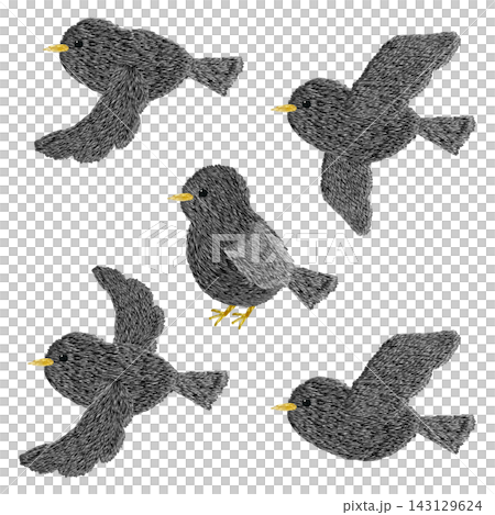 【黑鳥圖案組】手工刺繡插畫材質 【黑鳥圖案組】手工刺繡插畫材質 143129624