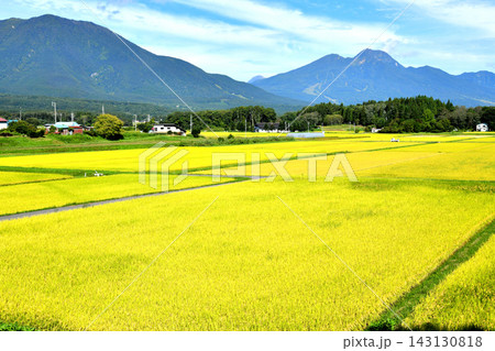 長野県信濃町穂波より黒姫山、妙高山方面を望む(長野県信濃町)【2026.9】 長野県信濃町穂波より黒姫山、妙高山方面を望む(長野県信濃町)【2026.9】 143130818