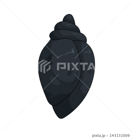 Illustration of dark seashell 143131009