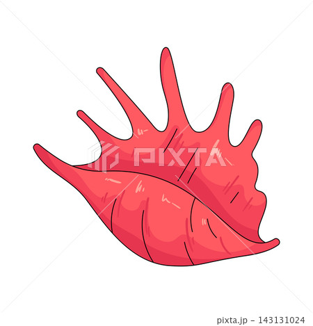 Illustration of pink seashell 143131024