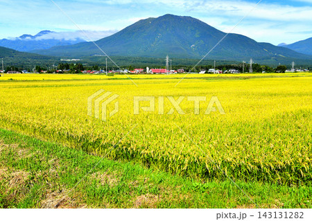長野県信濃町穂波より黒姫山方面を望む(長野県信濃町)【2026.9】 長野県信濃町穂波より黒姫山方面を望む(長野県信濃町)【2026.9】 143131282
