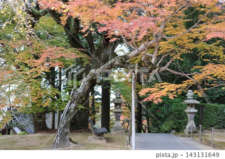 趣ある古木の幹と石灯籠が静かに佇むお寺の境内に広がる穏やかな秋色 143131649