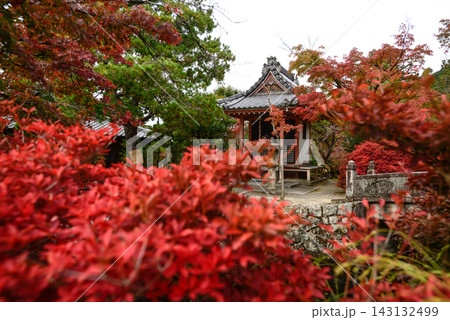 清水寺 弁財天社の紅葉 清水寺 弁財天社の紅葉 143132499