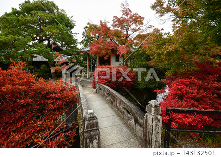 清水寺 弁財天社の紅葉 清水寺 弁財天社の紅葉 143132501
