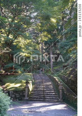 緑に覆われた参道 143133208