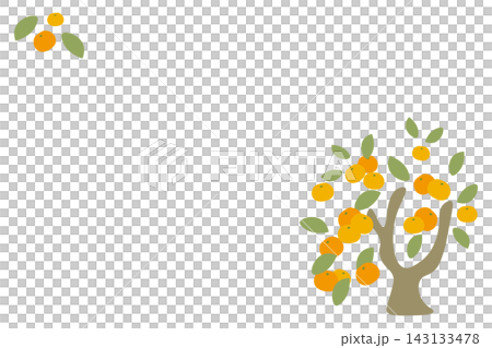 みかんの木のメッセージカード風背景イラスト 横向き 143133478
