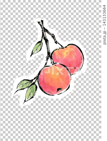 水彩で描いた木になる林檎のイラスト 143133664
