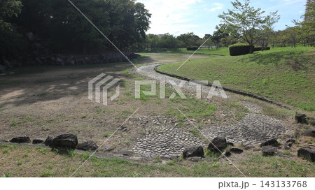 雑の刈られた、少し緑の戻った西神中央公園 雑の刈られた、少し緑の戻った西神中央公園 143133768