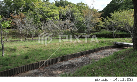 雑の刈られた、少し緑の戻った西神中央公園 雑の刈られた、少し緑の戻った西神中央公園 143133852