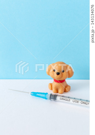 犬のワクチン ペットの健康管理 犬のワクチン ペットの健康管理 143134076