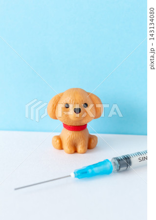 犬のワクチン ペットの健康管理 犬のワクチン ペットの健康管理 143134080
