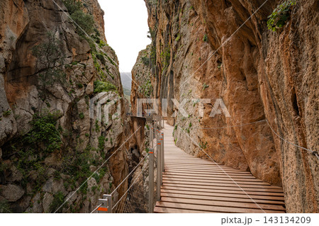 ooden boardwalk clinging to sheer canyon walls at Caminito del Rey, Spain 143134209