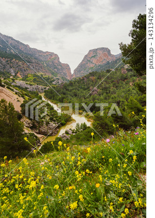 Wildflower meadow overlooking the winding Guadalhorce river gorge at Caminito del Rey 143134296