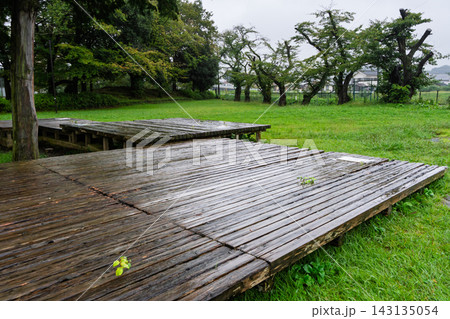 雨が降る静かな公園を散歩する 雨が降る静かな公園を散歩する 143135054