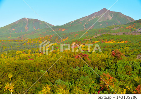 秋　北海道　十勝岳連峰　望岳台より 143135286