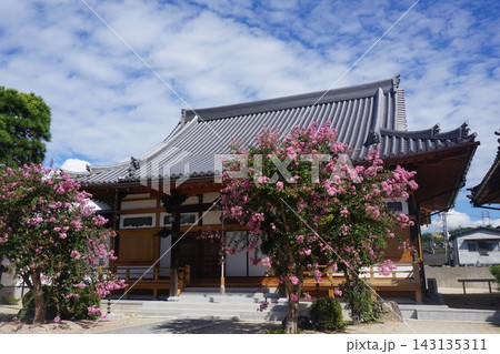城下町津山の西寺町を東西に走る旧出雲街道に面して建つ「大圓寺」：百日紅の咲く頃 143135311