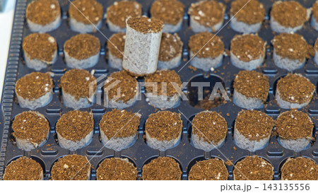 Planting Tray Seed Starting Planting Tray Seed Starting 143135556