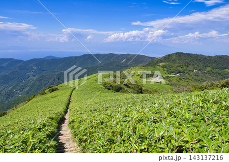 【静岡県】伊豆だるま山高原のハイキングコース~達磨山登山道 【静岡県】伊豆だるま山高原のハイキングコース~達磨山登山道 143137216